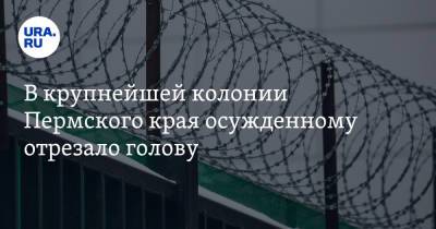 В крупнейшей колонии Пермского края осужденному отрезало голову