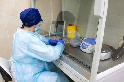 В Свердловской области установлен рекорд по официальной заболеваемости коронавирусом