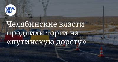 Челябинские власти продлили торги на «путинскую дорогу»