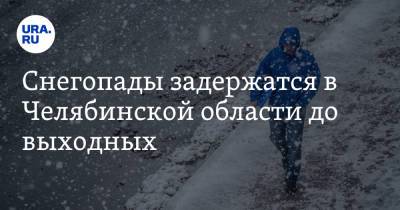 Снегопады задержатся в Челябинской области до выходных. Скрин