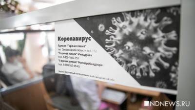 Александр Непомнящий - За сутки на Ямале зафиксировано еще 128 случаев COVID-19 - newdaynews.ru - Салехард