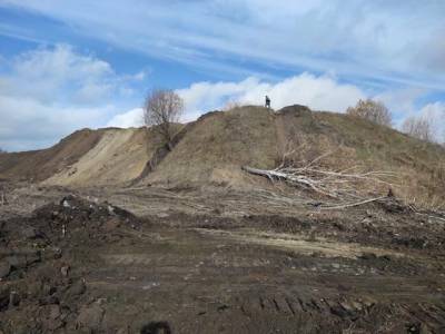 Власти Подмосковья начали проверку по факту разрушения Щербинского городища