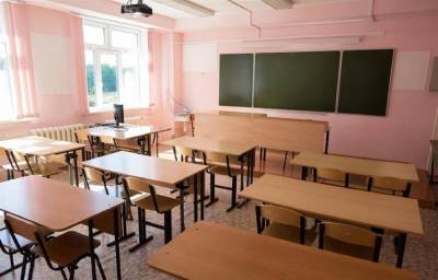 В Ульяновской области 226 школьных классов переведены на дистанционное обучение