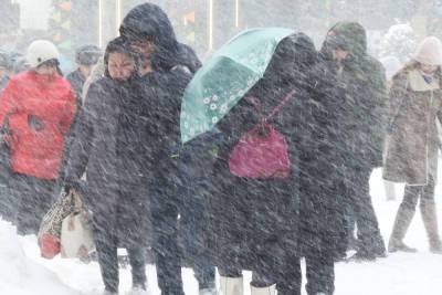МЧС экстренно предупредило москвичей о снеге и ветре вечером