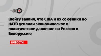 Шойгу заявил, что США и их союзники по НАТО усилили экономическое и политическое давление на Россию и Белоруссию