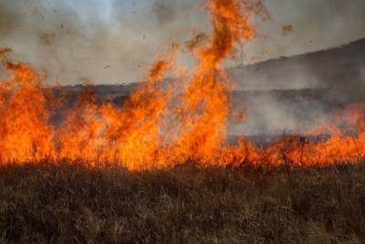 В Ульяновске и четырёх районах области тушили сухую траву