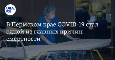 В Пермском крае COVID-19 стал одной из главных причин смертности