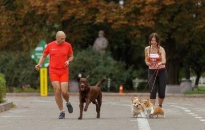 5 українських зірок, які займаються спортом зі своїми собаками