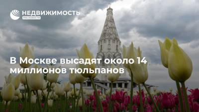 В Москве высадят около 14 миллионов тюльпанов