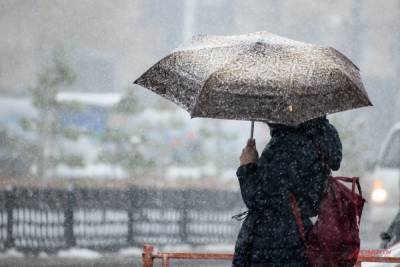 МЧС предупредило москвичей о мокром снеге и сильном ветре