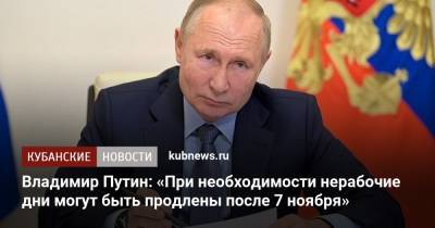 Владимир Путин: «При необходимости нерабочие дни могут быть продлены после 7 ноября»