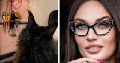Алена Водонаева заявила, что купит квартиру для кота в ипотеку