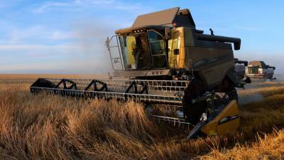 Новак заявил о возможных рисках роста цен на сельхозпродукцию