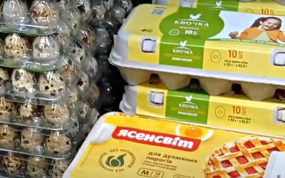 Перейдут в разряд деликатесов: в Украине резко сократилось производство яиц – чего ждать от цен