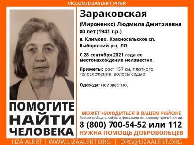 Элизабет Алерт - В Выборгском районе ищут пропавшую почти месяц назад 80-летнюю женщину - ivbg.ru - Украина - Ленобласть