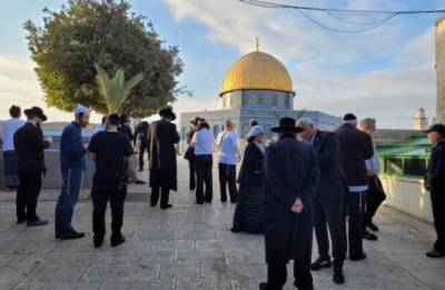 Иудеи игнорируют рекомендации властей и продолжают молиться на Храмовой горе