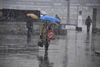Синоптик Тишковец предупредил москвичей о мокром снеге с дождем до утра четверга