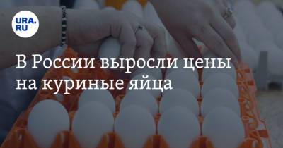 В России выросли цены на куриные яйца