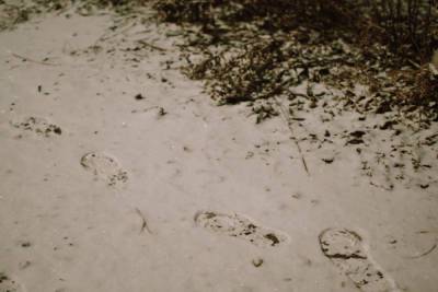 В Ахтубинске местная жительница перепутала град со снегом