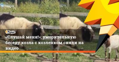 «Слушай меня!»: уморительную беседу козла с козленком сняли на видео