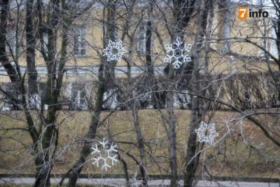 В Рязани сняли на видео первый снег