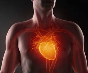 5 эффективных рецептов для улучшения работы сердца