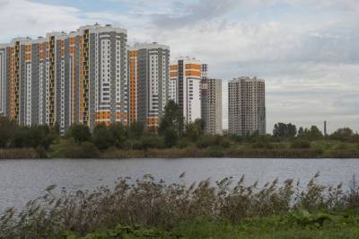 На юге Петербурга местные жители пожаловались на демонтаж ограждения, установленного для безопасности