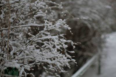 В Рязанской области выпустили метеопредупреждение из-за снега и ветра
