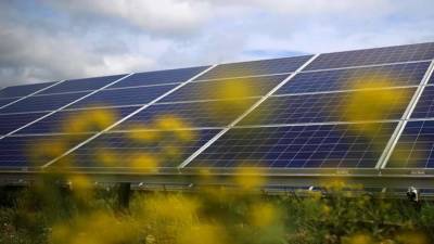 Подобрать луч: в РФ могут появиться субсидии на солнечные батареи для граждан