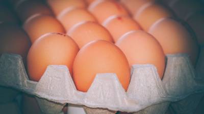 Яичный армаггедон на Украине: Производство упало на четверть, цена выросла на 66%