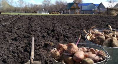 Ежемесячно сельским специалистам в Чувашии выплачивают компенсацию в 1200 рублей: как ее получить