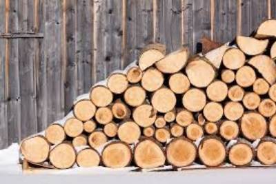 Забайкальцам могут позволить заготавливать горельник на дрова