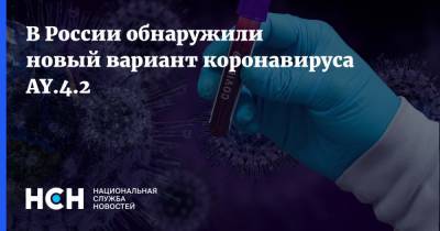 В России обнаружили новый вариант коронавируса AY.4.2