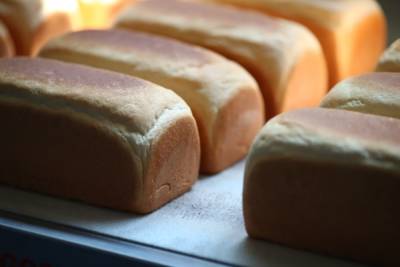 Технологи из Волгограда объяснили, зачем нужны добавки при выпечке хлеба