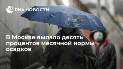 Синоптик Тишковец: в Москве за сутки выпало десять процентов месячной нормы осадков