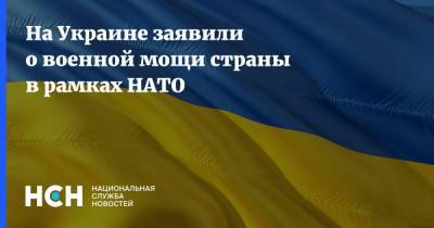 На Украине заявили о военной мощи страны в рамках НАТО