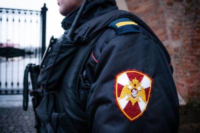 В Новгороде поймали объявленного в федеральный розыск преступника