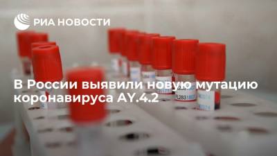 Эпидемиолог Роспотребнадзора Хафизов: в России выявили новый вариант коронавируса AY.4.2