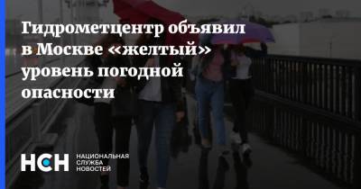Гидрометцентр объявил в Москве «желтый» уровень погодной опасности