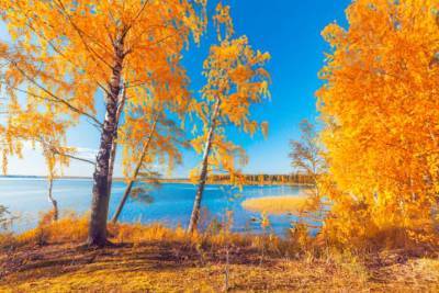 В Украине наступила настоящая «золотая осень»: сколько продлится «сказочная» погода