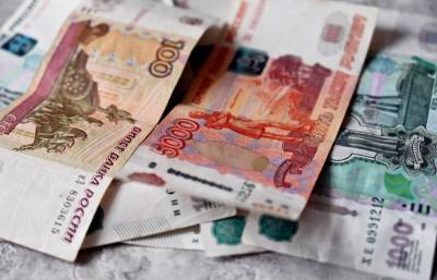 Глава одного из районов Тверской области выписал себе премию 200 тысяч рублей