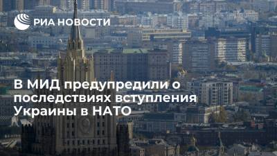 Замглавы МИД Руденко: вступление Украины в НАТО вынудит Россию реагировать