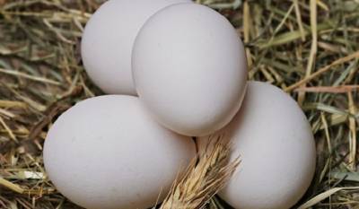 Украина начала ввозить яйца из-за границы