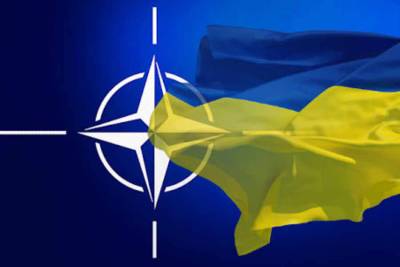 Киев должен признать, что членство в НАТО для него невозможно – профессор Гарварда