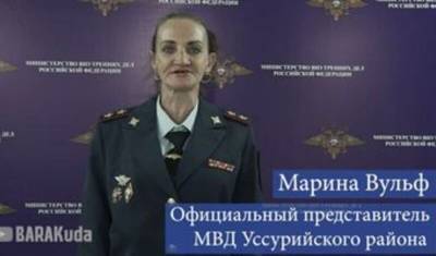Жительницу Уссурийска, которая пародировала Ирину Волк из МВД, осудили на три месяца