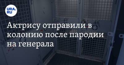 Актрису отправили в колонию после пародии на генерала