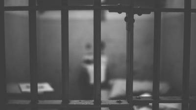 Подозреваемая в жесткой расправе над девятилетней девочкой из Вологды заключена под стражу