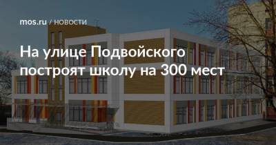 На улице Подвойского построят школу на 300 мест