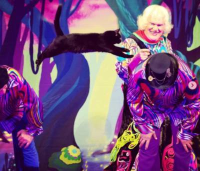 Московский театр кошек Юрия Куклачева выступит в Петербурге с программой «Мяугли»
