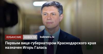 Первым вице-губернатором Краснодарского края назначен Игорь Галась